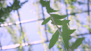 Эротика и страсть в HD качестве