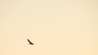 Горячее порно видео с Natalia N онлайн