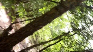 Реальное домашнее порно: блондинка и парень в парке