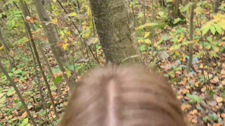 Смотреть онлайн горячее видео с диким трахом