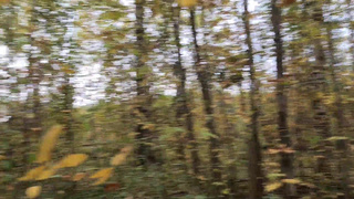 Смотреть онлайн горячее видео с диким трахом