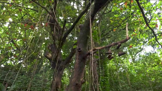 Анальный секс для начинающих — войдет ли такой размер?