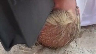 Жесткое порно на публике с мочалкой