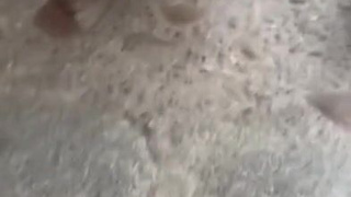 Жесткое порно на публике с мочалкой