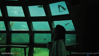 Смотреть онлайн страстный секс