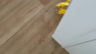 Mila Sobolov - [OF] - Sucking Off The Delivery Guy Until He Cums In My Mouth.mp4