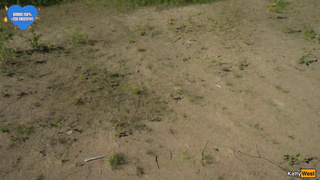 Групповуха с женой – смотреть онлайн жесткое порно вчетвером