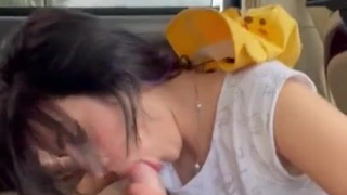 Автостопщица отсасывает и трахается с незнакомцем