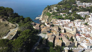 Горячее порно видео: анал с красивой парой