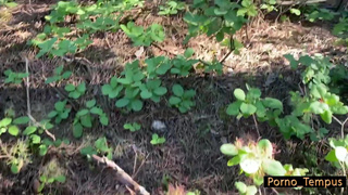 Страстный минет на природе