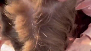 Реальное порно видео с колеса обозрения