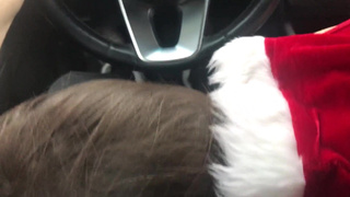 Секс-приключение с Санта Клаусом - смотреть онлайн