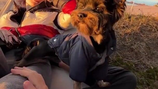 SKIP Outdoor sex and blowjob in public - Real Couple Homemade.mp4